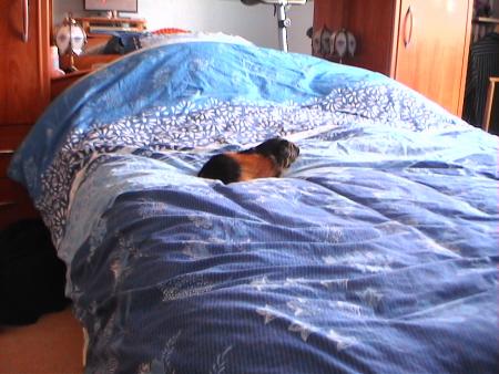 poupoune4